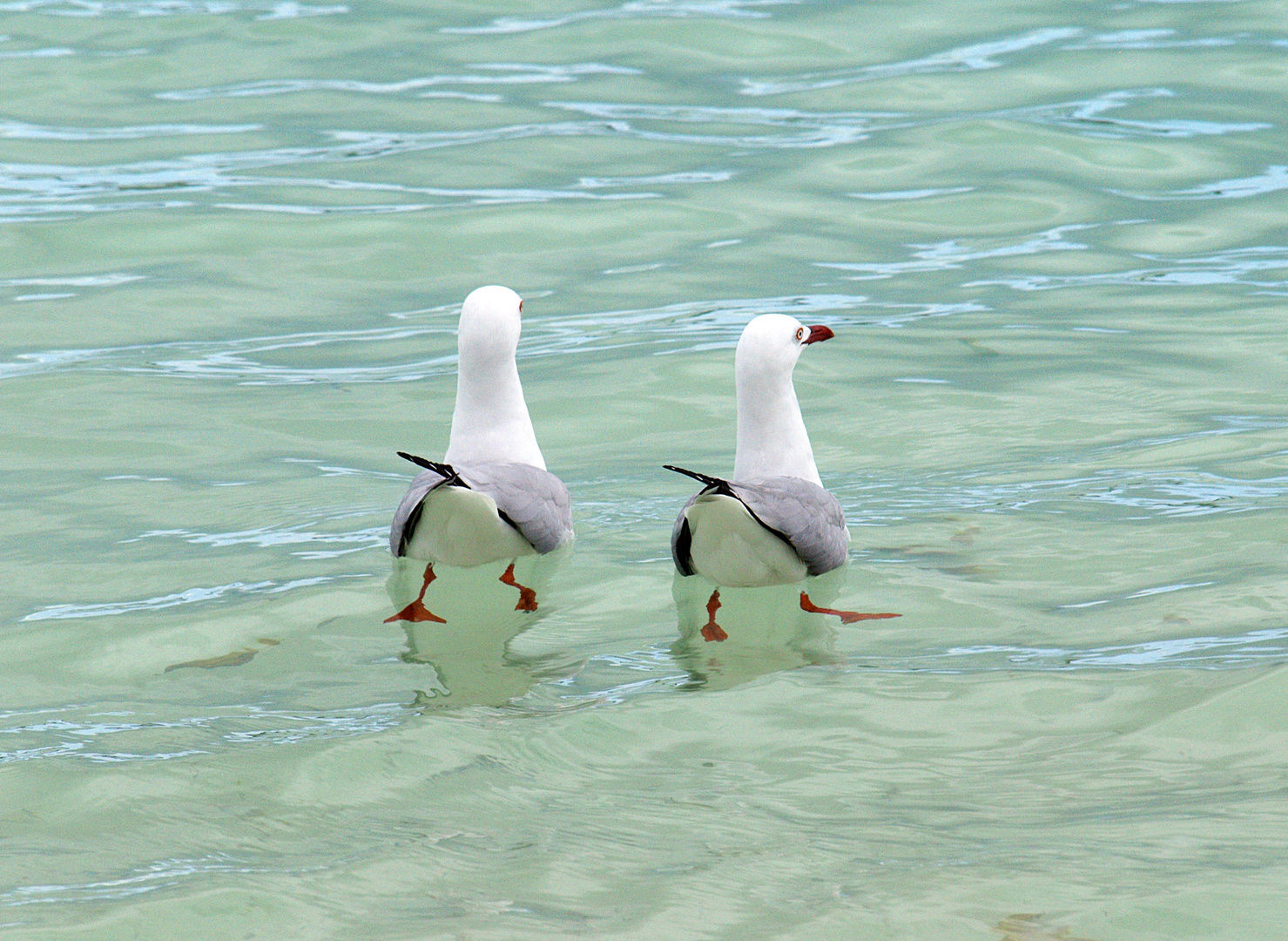 Muriel et Hermine