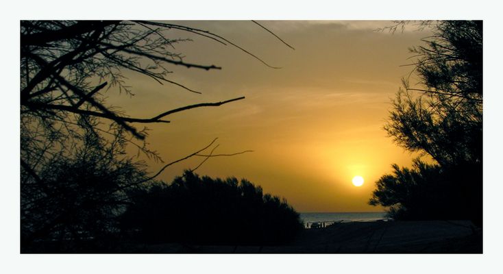 muriendo suavemente en Dunamar-Argentina