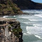 Muriwai