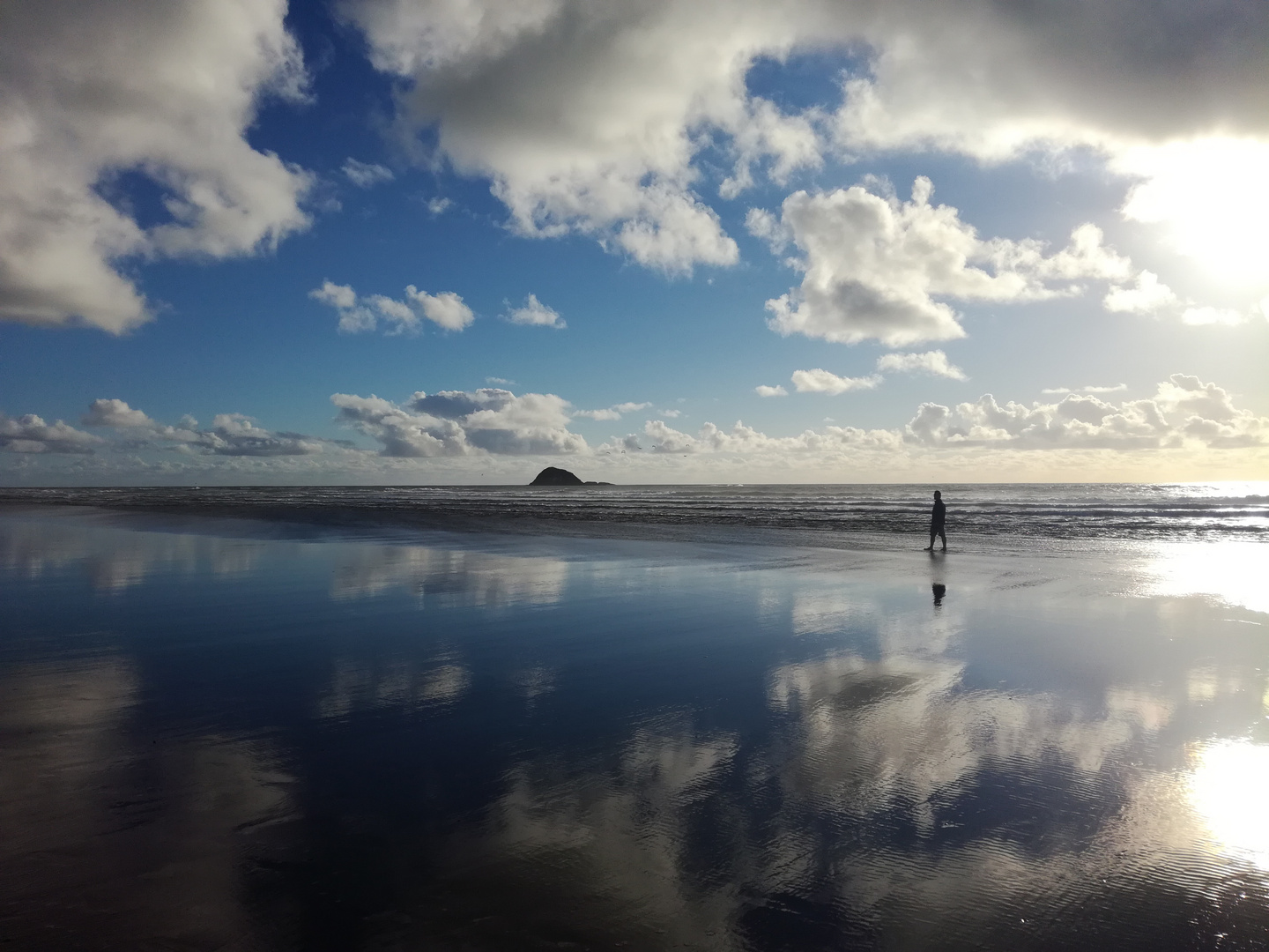 Muriwai Beach