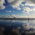 Muriwai Beach