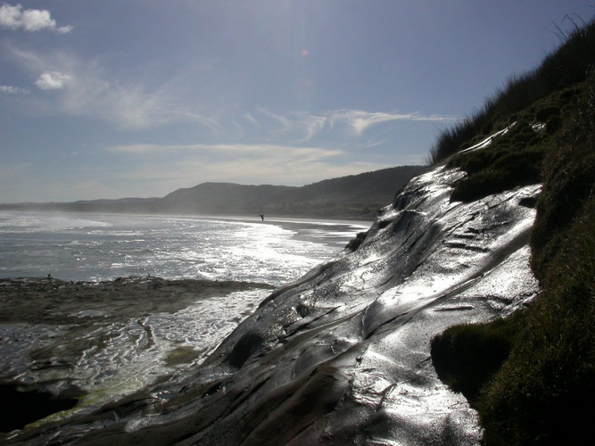 Muriwai Beach