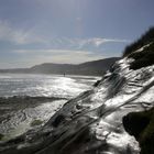 Muriwai Beach