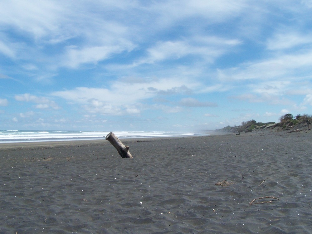 Muriwai Beach