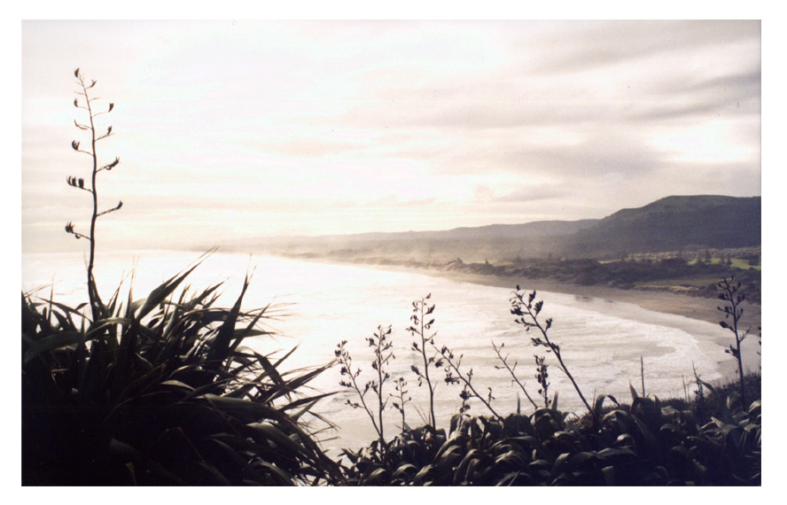 Muriwai Beach, Auckland