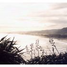 Muriwai Beach, Auckland