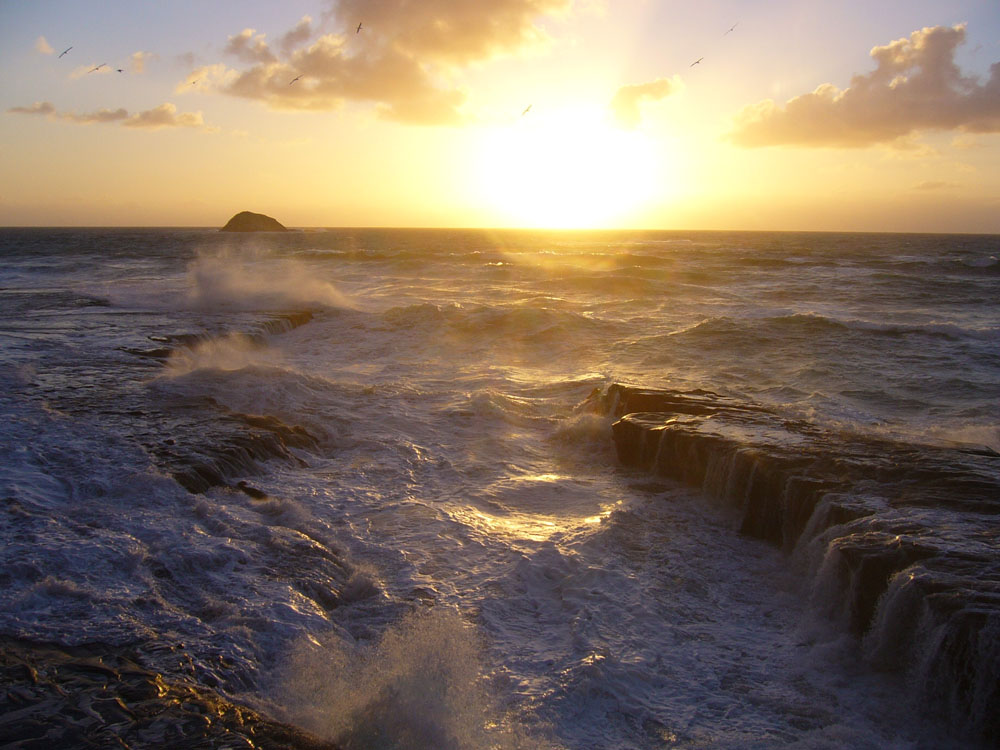 Muriwai Beach