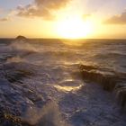 Muriwai Beach