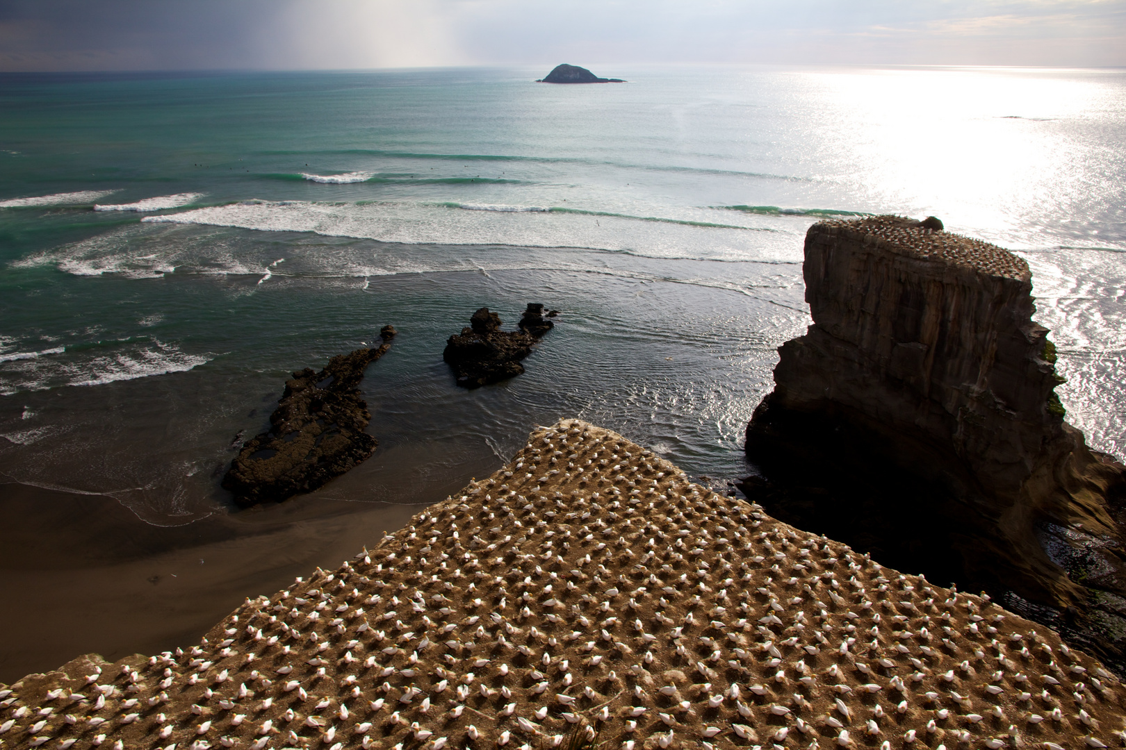 Muriwai Beach - Neuseeland - Nordinsel