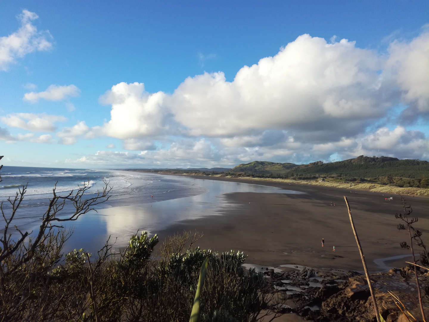 Muriwai Beach, NZ