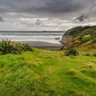 Muriwai