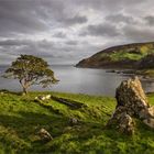 Murlough Bay