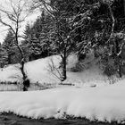 murmelnde Geräusche im Schnee