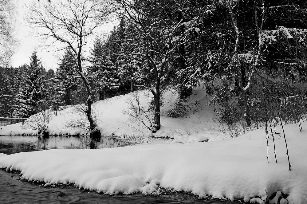 murmelnde Geräusche im Schnee