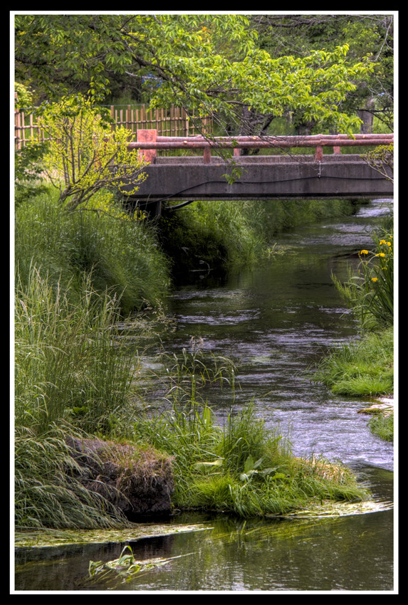 Murmuring in brook