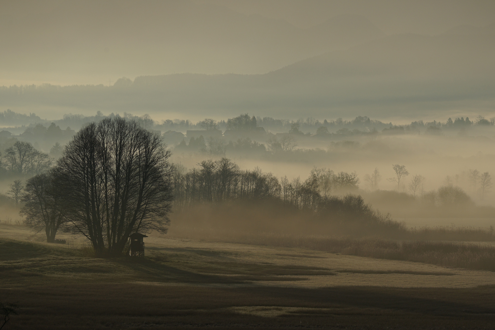 Murnauer Moos für Frühausteher