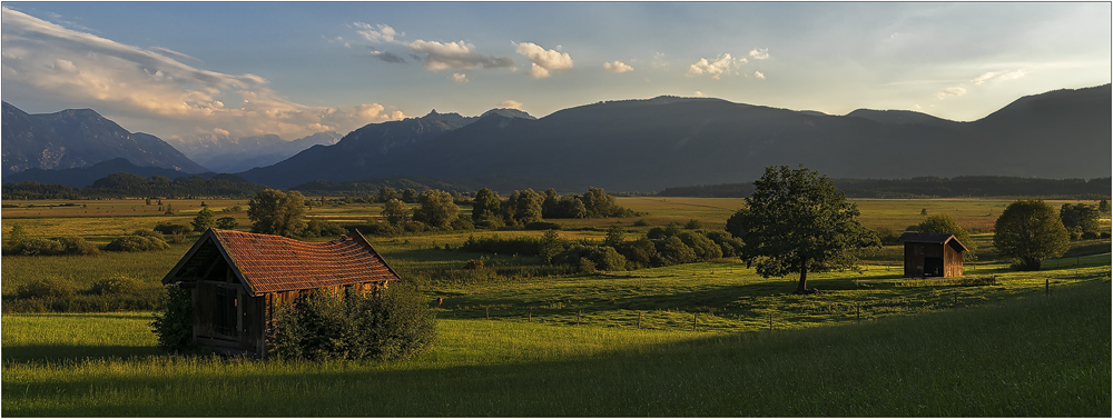 Murnauer Moos im Abendlicht....