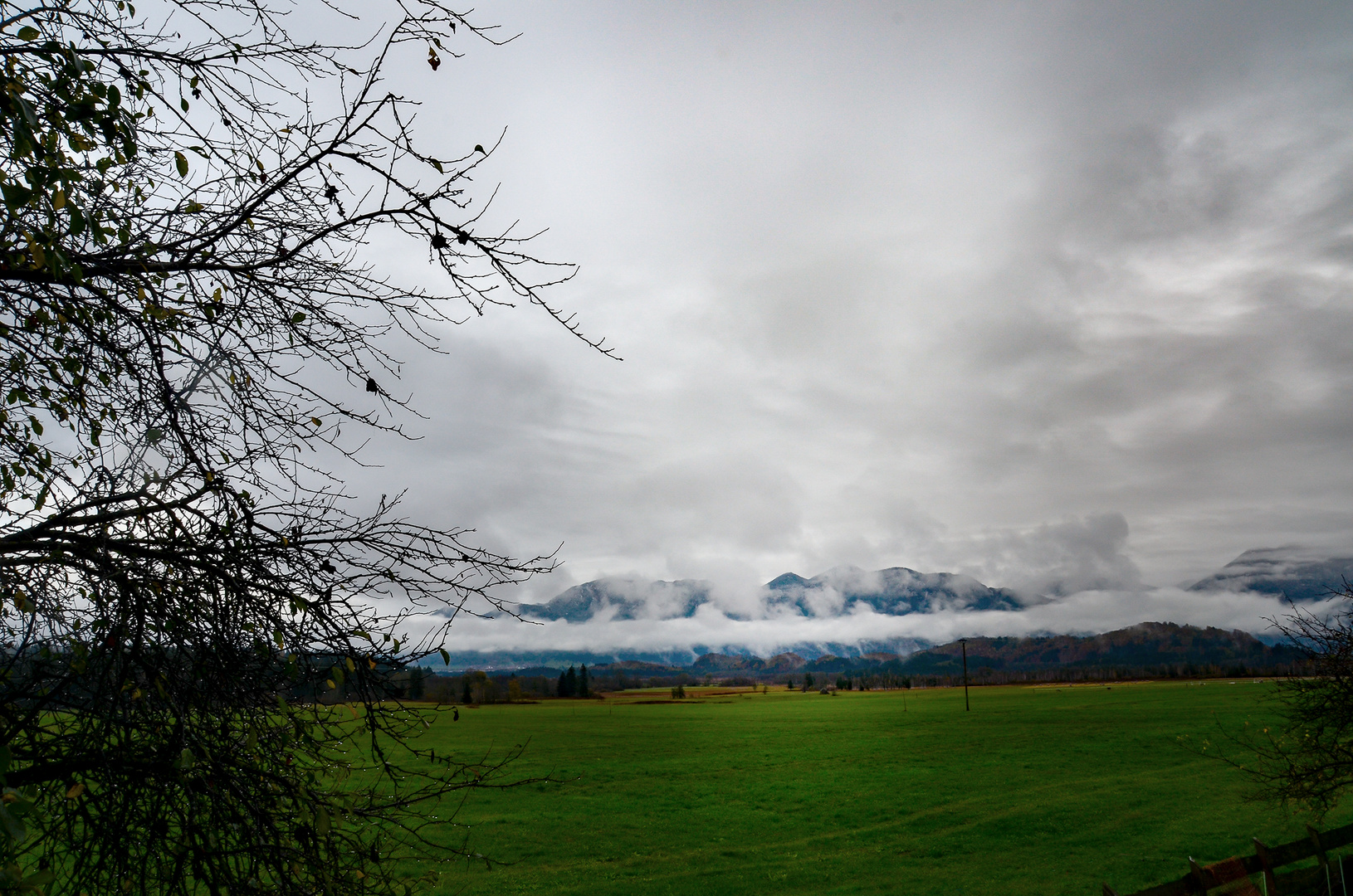 Murnauer Moos im Nebel....