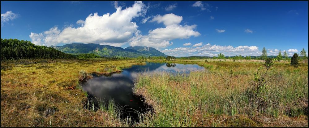 ~ Murnauer Moos Pano II ~