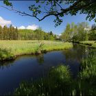 ~ Murnauer Moos - Rechtach ~