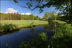 ~ Murnauer Moos - Rechtach ~