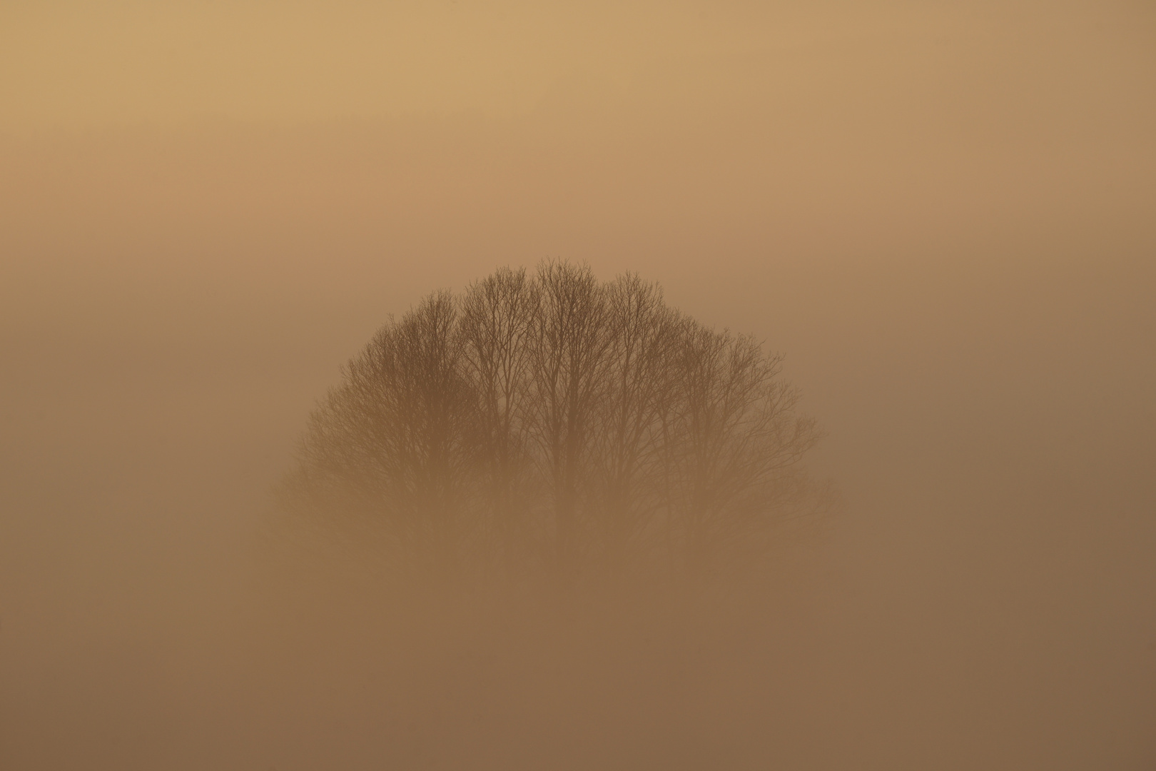 Murnauer Moos Sonnenaufgang