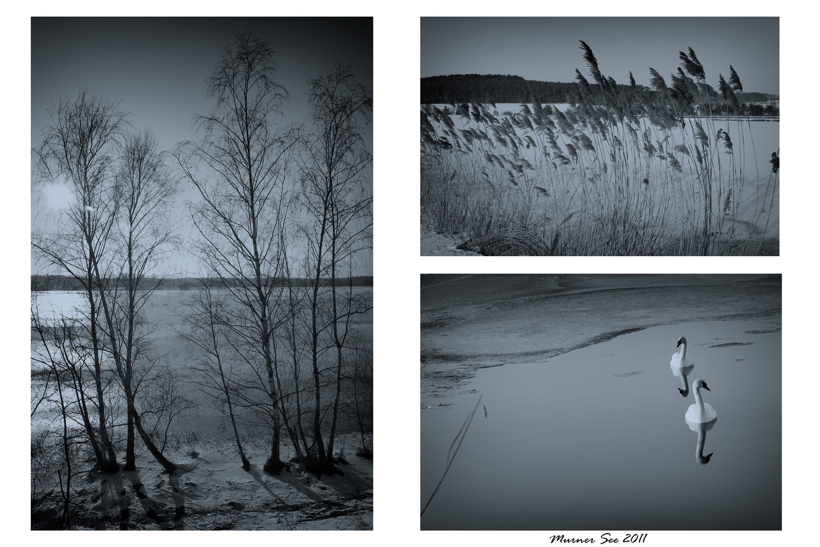 Murner See - Collage