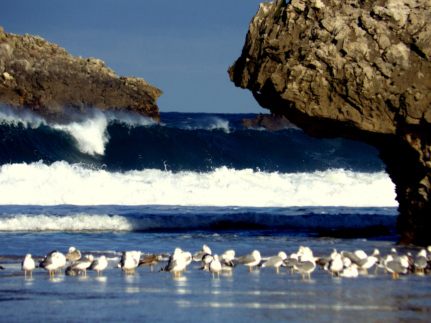 Muro de olas