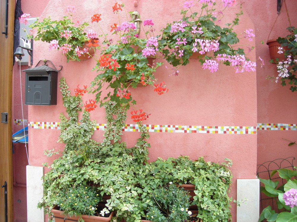 Muro di Burano La grazia ...in un colore ! Burano's wall .The grace in a colour !