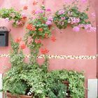 Muro di Burano La grazia ...in un colore ! Burano's wall .The grace in a colour !