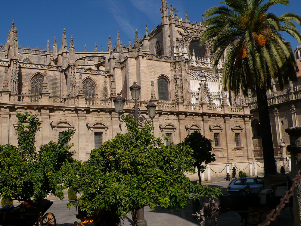 Muro Occidental de la Catedral