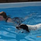 Murphy am schwimmen