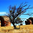 *** Murphy's Haystack ***