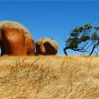 * Murphy's Haystack  Eyre Peninsula *