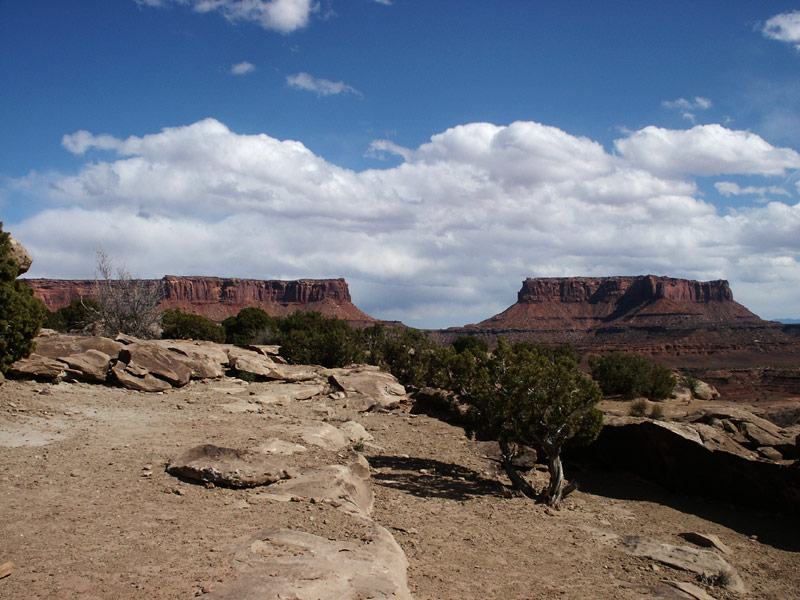 Murphys Hogback