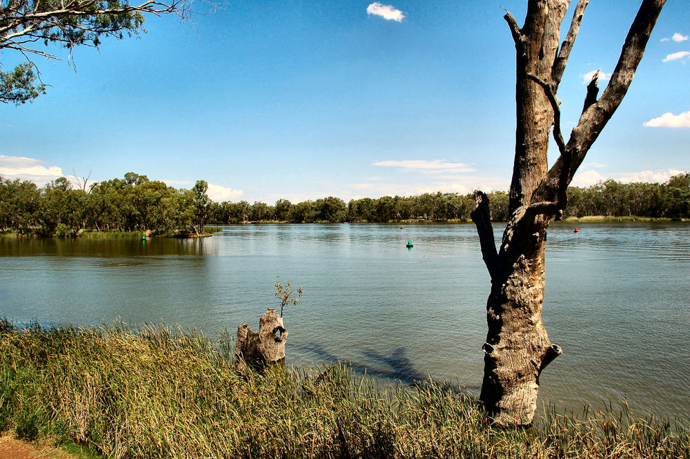 Murray Darling Junction