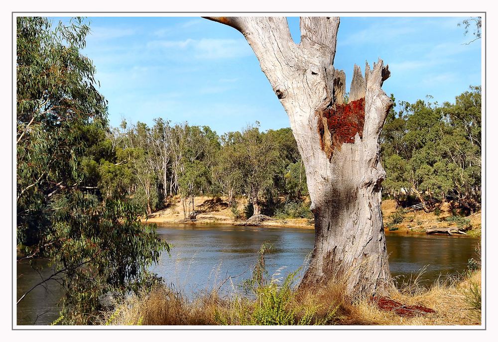 Murray River