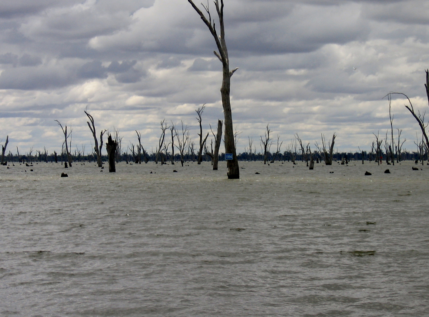 Murray River Desert