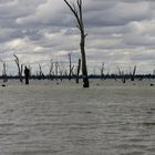 Murray River Desert