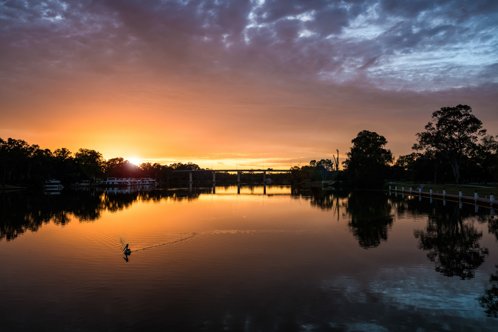 Murray River