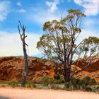 Murray River in Südaustralien