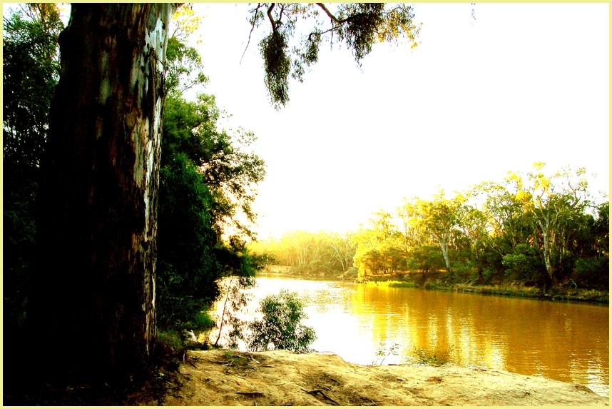 Murray River, near by Echuca