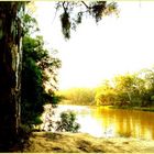 Murray River, near by Echuca