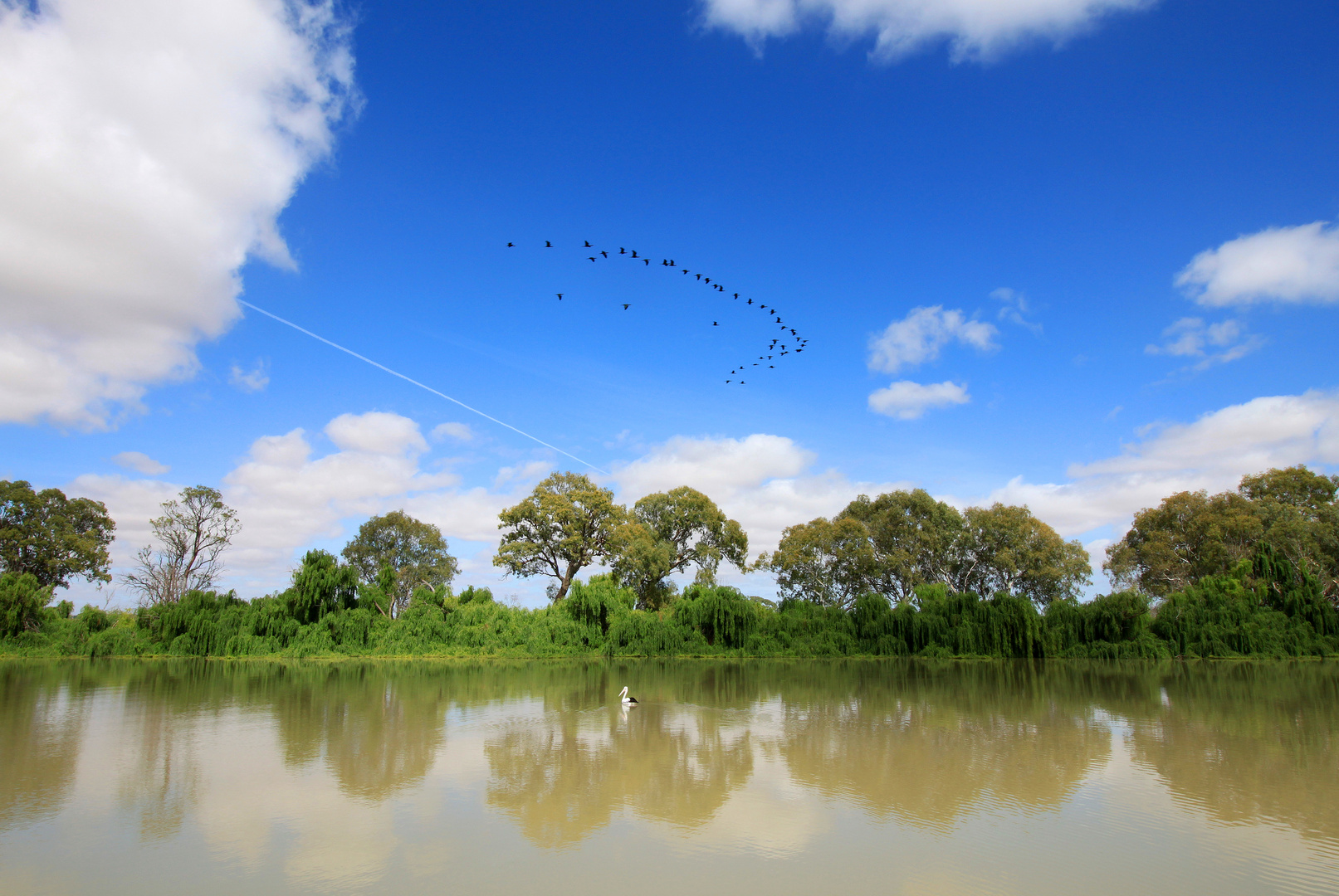 Murray River - South Australia