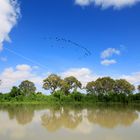 Murray River - South Australia