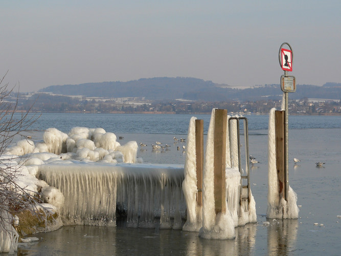 Murten See