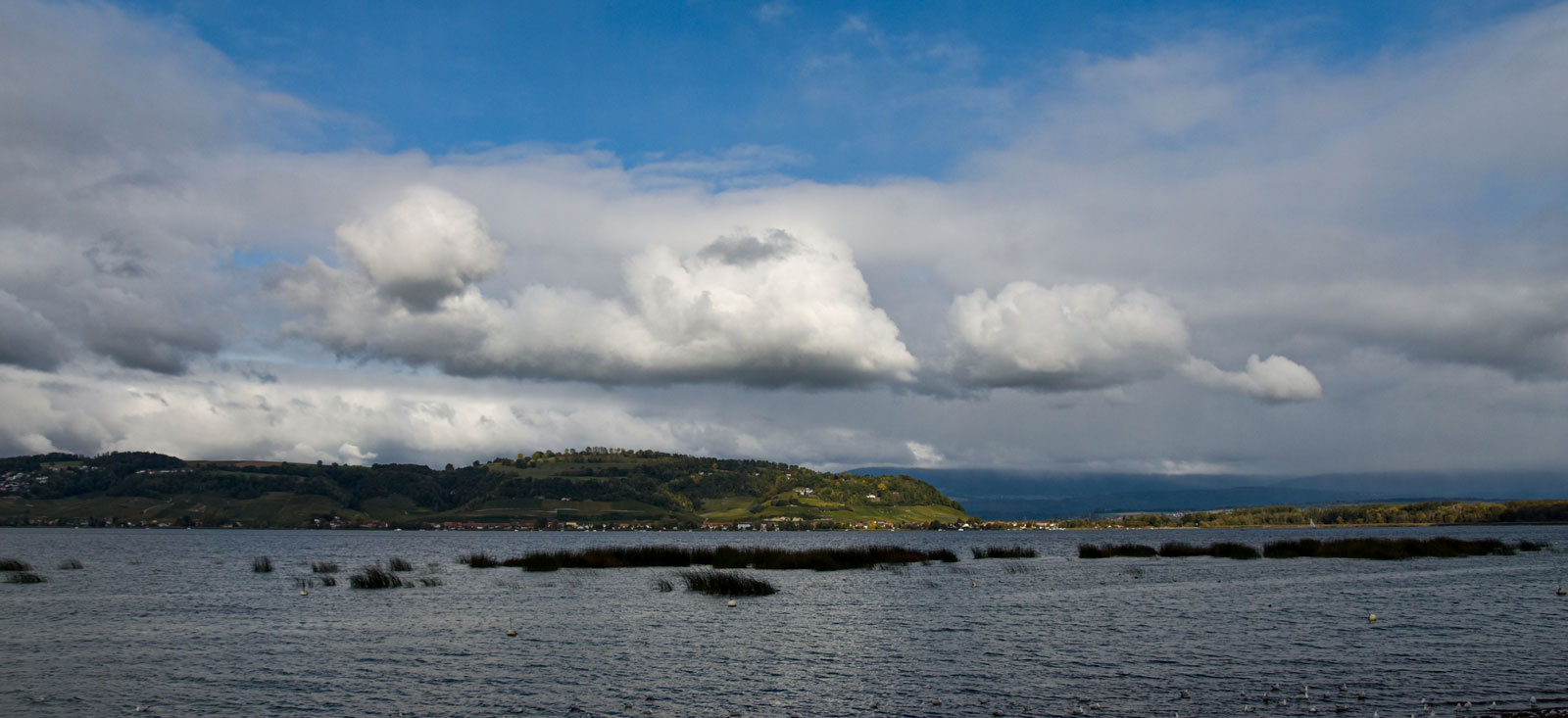 Murtensee mit Blick zum Mont Vully