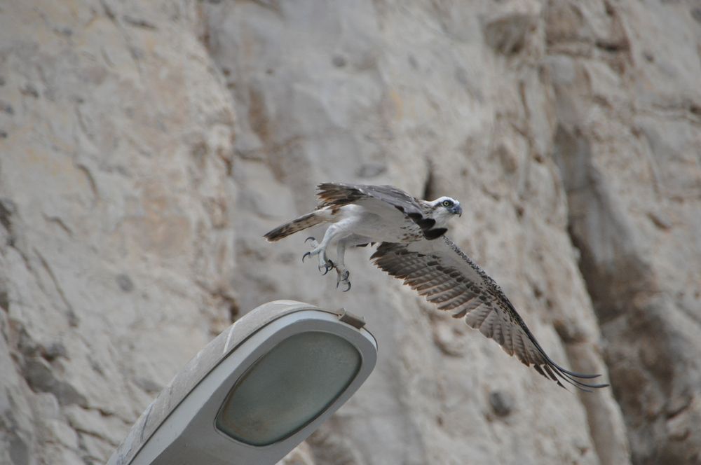 Musandam