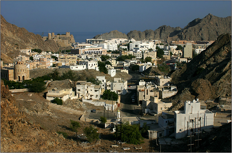 muscat