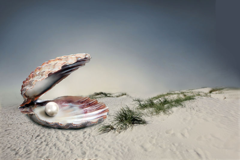 Muschel mit Perle Foto & Bild digiart, welten Bilder auf